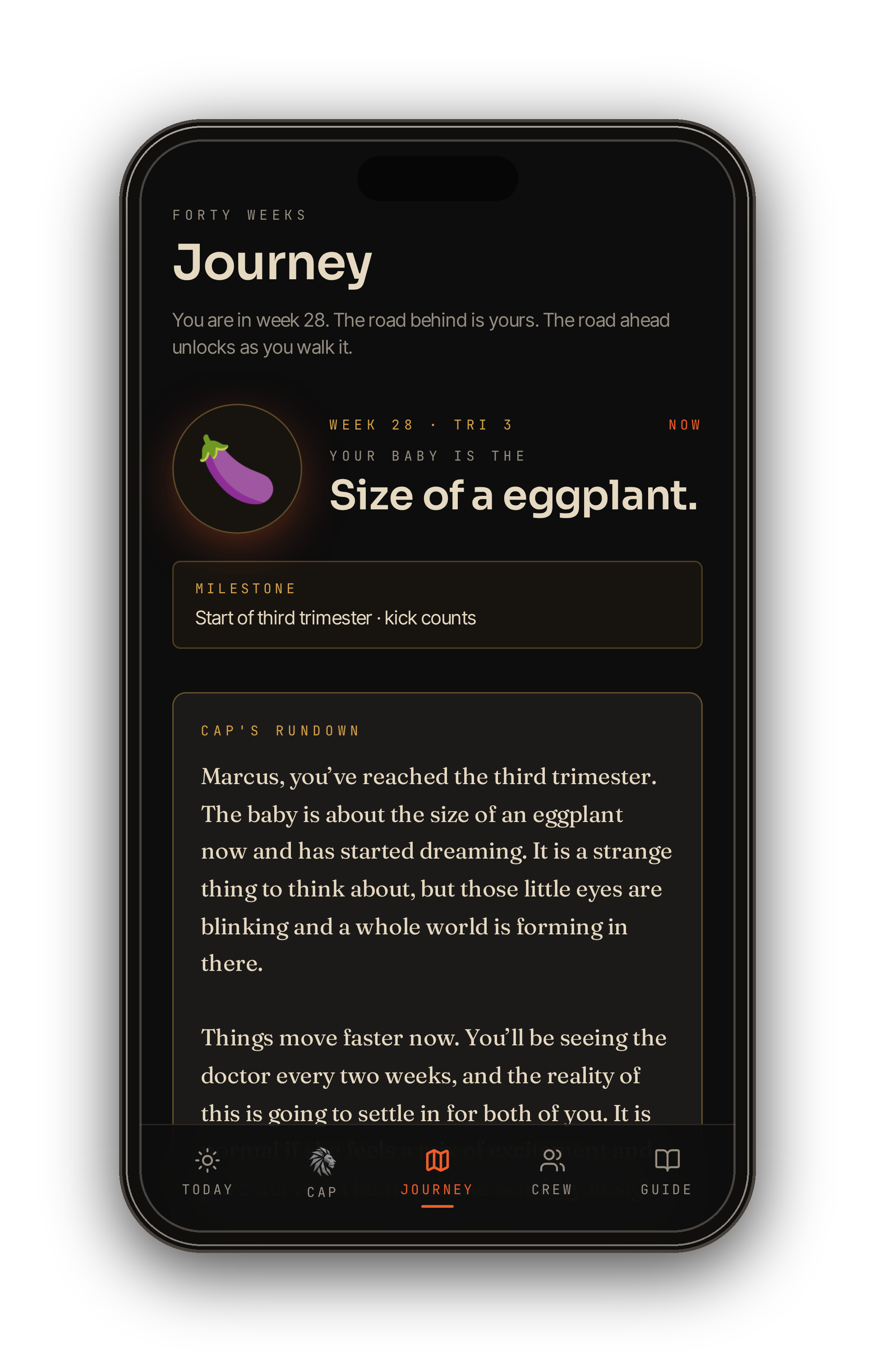 Journey screen in the FASA app